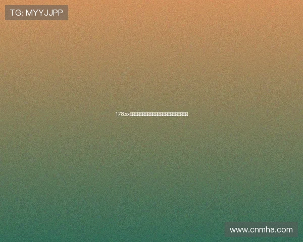 178.sx怎么打不开了网站访问异常原因分析与解决方法指南