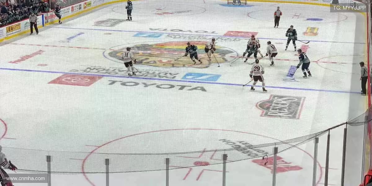 装备你的热爱，每一步都闪耀！🎯